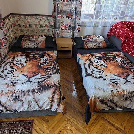 Vila Imagina Ratboř Kültér fotó