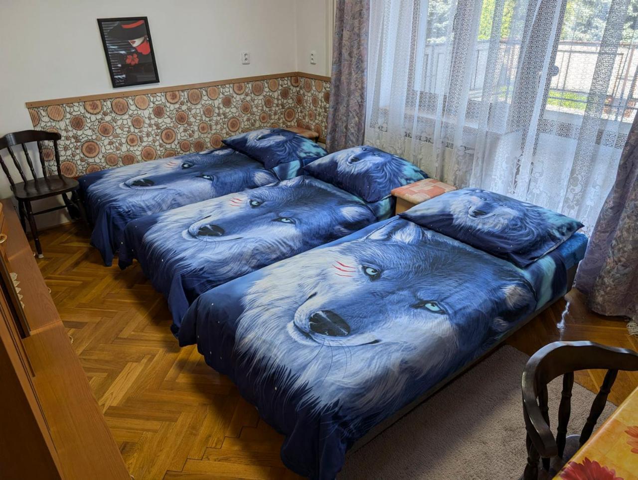 Vila Imagina Ratboř Kültér fotó